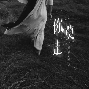 你莫走-钢琴谱