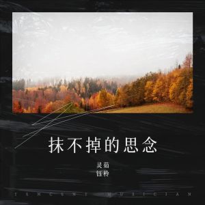 抹不掉的思念-钢琴谱