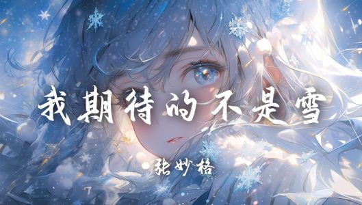 我期待的不是雪-钢琴谱