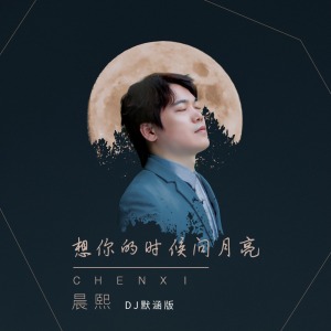 想你的时候问月亮-钢琴谱