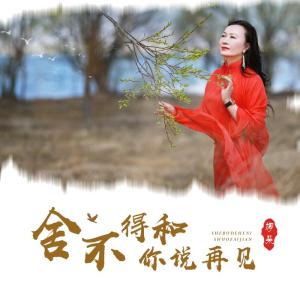 舍不得和你说再见-钢琴谱