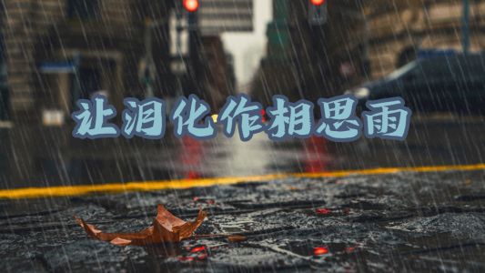 让泪化作相思雨-钢琴谱