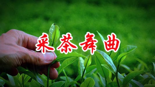 采茶舞曲-钢琴谱