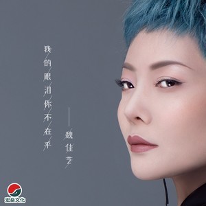 我的眼泪为谁飞吉他谱原版