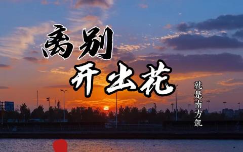 离别开出花-钢琴谱