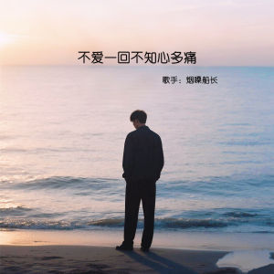 不爱一回不知心多痛-钢琴谱