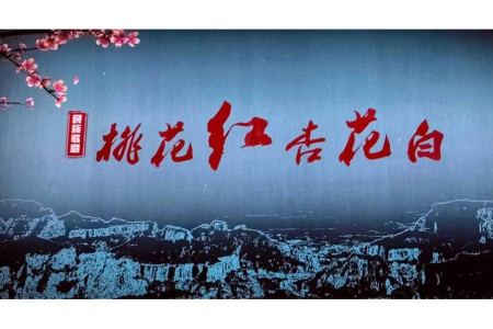 桃花红杏花白-钢琴谱
