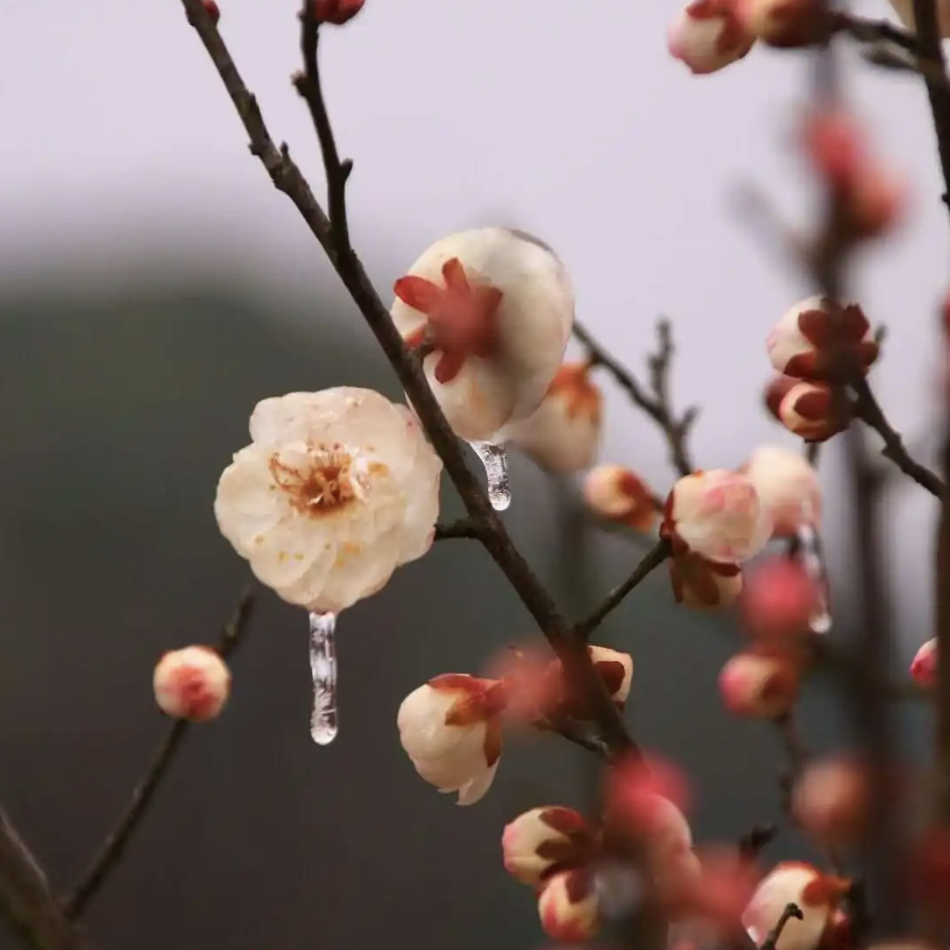 《一路生花》G调简易版钢琴简谱预览