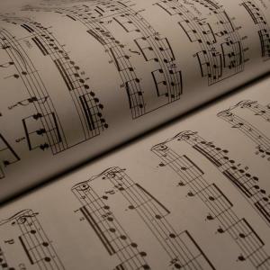 Fantasie and Fugue in A minor鋼琴簡(jiǎn)譜 數(shù)字雙手 Fantasie and Fugue in A minor鋼琴簡(jiǎn)譜 數(shù)字雙手
