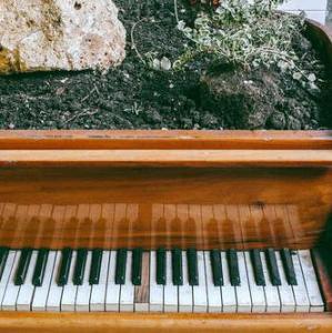 étude Op.109 No.8 Agitato鋼琴簡譜 數(shù)字雙手 étude Op.109 No.8 Agitato鋼琴簡譜 數(shù)字雙手