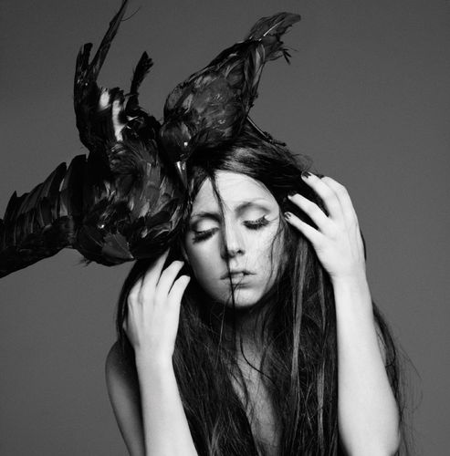 Alejandro钢琴简谱 数字双手 Lady Gaga/RedOne