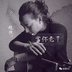 雨巷吉他谱简单赵照