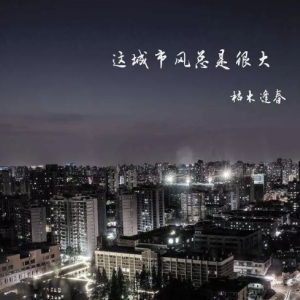 这个城市吉他谱