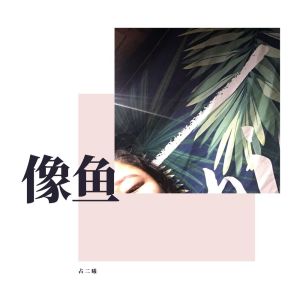 五月鱼吉他谱