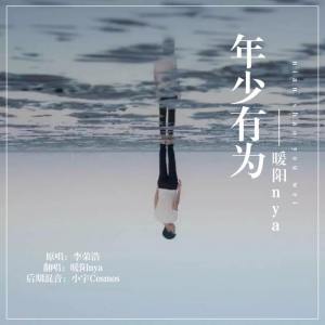 年少如风吉他谱张磊