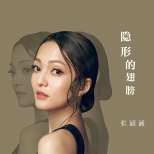 翅膀上的星星吉他谱简单
