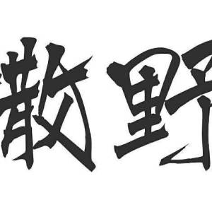 撒野完整版吉他谱指弹