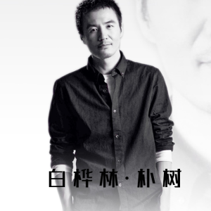 林宝馨当下吉他谱