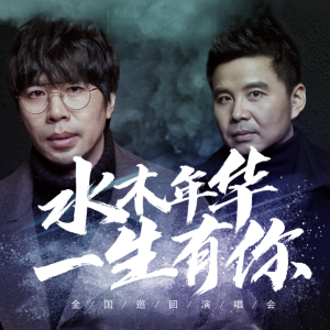 与你相伴一生的吉他谱