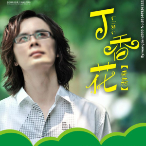 广场舞丁香花吉他谱新手