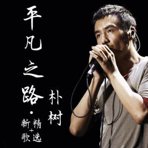 平凡之路吉他谱原唱