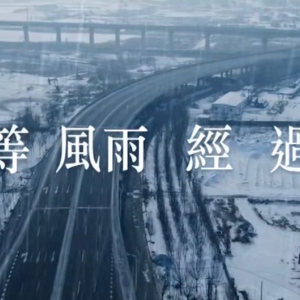 吉他谱风雨同伴