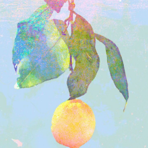 麻醉师音乐吉他谱