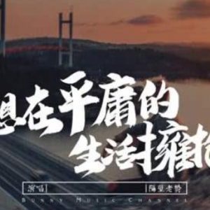 隔壁老樊歌吉他谱