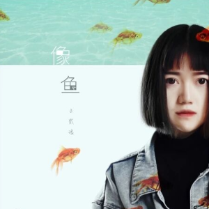 像鱼吉他谱胡老师