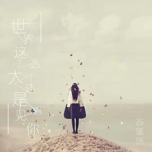 世界这么大风景美如画吉他谱