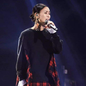 老有所依歌曲那英吉他谱