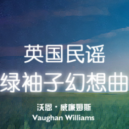 红布绿花朵吉他谱