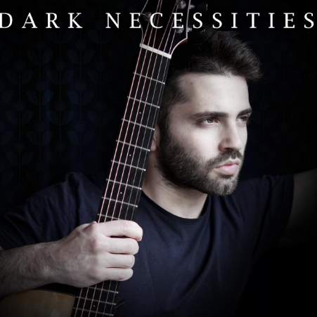Luca Stricagnoli版 -Red Hot Chili Peppers《Dark Necessities》指弹吉他谱