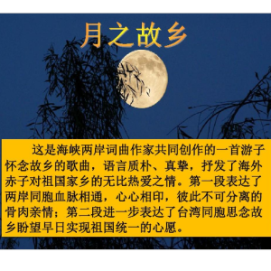 收集的曲-钢琴谱