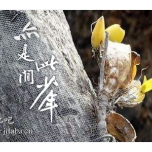 哑吉他谱