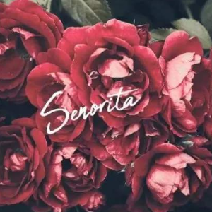 《Senorita》弹唱版