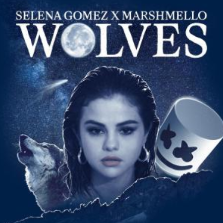 《Wolves》Selena Gomez热门单曲-钢琴谱