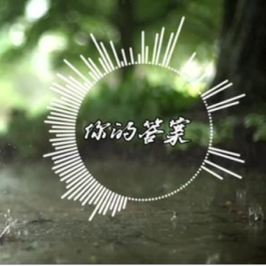 我的答案吉他谱图片