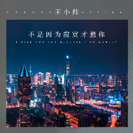 是否因为寂寞才想你吉他谱