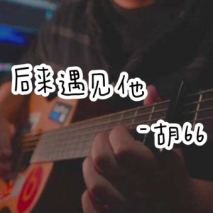 吉他谱后来遇见他