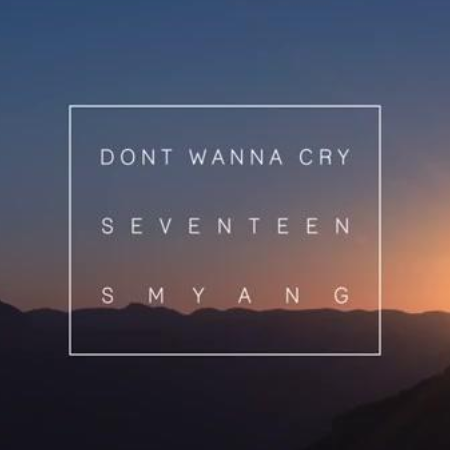 《不想哭》(Don't Wanna Cry)（Seventeen热门单曲）-钢琴谱