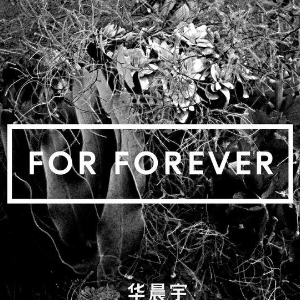 《For Forever》简单版-钢琴谱