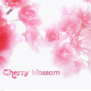 October - Cherry Blossom 【独奏谱】