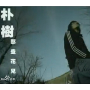 那些花儿c吉他谱简单版