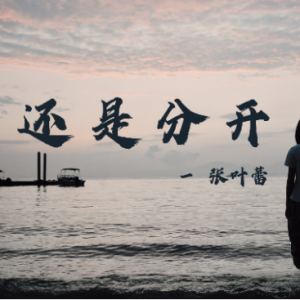 心跳吉他谱c调张叶蕾