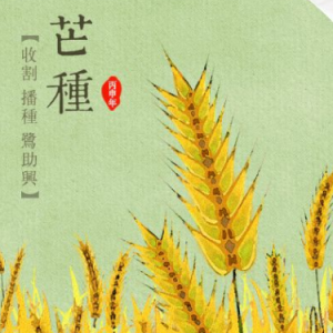 收藏-钢琴谱