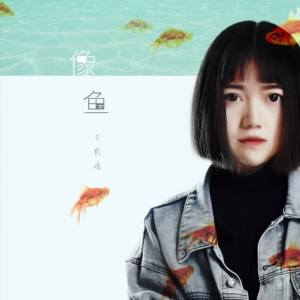 搜索像鱼鱼吉他谱