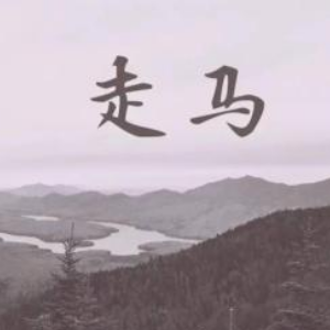 摩登兄弟走马吉他谱简单版