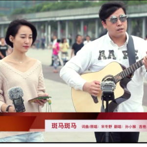 斑马斑马吉他谱简单版果木