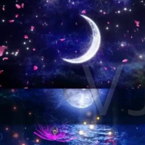 月亮代表我的心【C调】